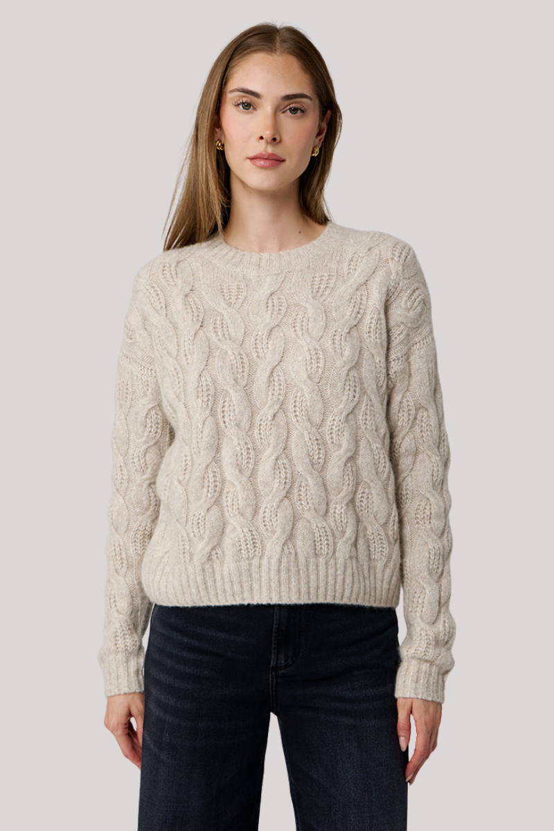 Autumn Cashmere - Cable Crew Neck Sweater - SUGARCAN